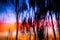 Abstract Background moving tree sunset