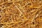 Abstract background of mowed wheat ears and straw