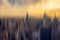 Abstract background New York panorama