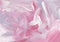 Abstract background painting. Pink, grey, violet, white brush strokes on paper