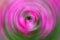 Abstract Background Of pink Spin Circle Radial Motion Blur