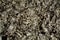 Abstract background of porous stone