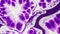 Abstract background with Purple and white. Organic flow effect