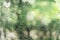 Abstract background from raindrop on glasses window with blurred green tree background. Fresh nature concept