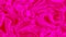 Abstract background red pink color silky liquid animation