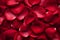 Abstract background of red roses petals texture. Cover for book, greeting card. Valentines concept