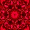 abstract background of rose flower with water drops pattern of a kaleidoscope. red black background fractal mandala