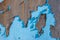 Abstract background. Rusty metal surface with old peeled blue paint.