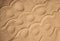 Abstract background of sand. Prints of shells and waves of sand. Copy space. Macro.