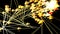 Abstract background similar to scattering dandelion achenes