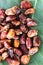 Abstract background of sweet honey dates on the market close up. Delicious fruit - ramadan. Dried organic date fruits on green lea