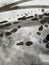 Abstract background texture of asphalt road covered with snow and tire tracks