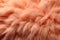 abstract background texture of fluffy delicate peach fur