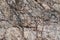 Abstract background and texture of the grunge stone