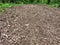 Abstract background and texture of sawdust and pieces of wood. Texture, pattern, frame, copy space. Brown or grey mulch