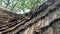 Abstract background, traditional bamboo roof tile