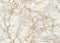 Abstract background, trendy white marble with golden veins, marbled wallpaper, digital marbling illustration, fake painted