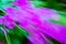 Abstract background of unfocused flowers with movement, and intense and saturated colors