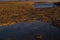 Abstract background - yellow mound of coral pebble and blue transparent smooth water with dark reflection as puddle or lake.