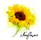 Abstract background with yellow sunflower.