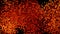 Abstract ball red orange flame tone color brust and float around
