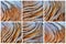 Abstract Bark Pattern Collage, Australian Native Tree