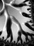 Abstract beautiful 3D fractal design. Complex alien structure rendering in black and white