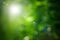 Abstract, beautiful green summer background, blurred effect
