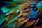 Abstract beautiful soft feathers peacock