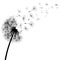 Abstract black dandelion, dandelion with flying seeds - vector