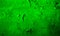 Abstract black lite green color mixture multi colors effects wall texture Background.