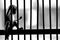 Abstract Black and white of Caged monkey, Concept of animal cruelty And freedom