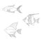 Abstract black and white fishes vector