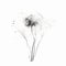 Abstract Black And White Flower Illustration: Ethereal, Minimalist, And Romantic