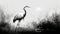 Abstract Black And White Heron In Swamp - Speedpainting Concept Art