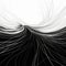 Abstract Black And White Wave Vector Art Interactive Digital Artwork