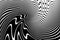 Abstract Black and White Wavy Lines Halftone Pattern. Whirl Motion Illusion