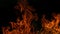 Abstract blaze fire flame background