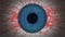 Abstract Bloodshot Blue Eye with blinks loop