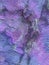 Abstract Blue Lilac Decoration, Texture, Background