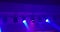 Abstract blue and violet purple, bright shiny stage lights flashing movement entertainment spotlight projectors in the dark