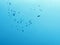 Abstract Blue Water bubble drops splash background