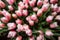 Abstract blur bouquet of pink tulips