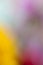 Abstract blur defocused wallpaper background multi colours