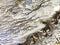 Abstract blur of water with foam along the road surface with fallen leaves in autumn.