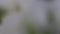 Abstract blured defocused motion dark green background, tranquil scene for meditation