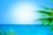 Abstract blurred background, blue sea and sky, sunlight, green palm branches, design concept for travel banner