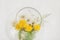 Abstract blurred background, dandelions in a round glass vase closeup on a windowsill near wet window, spring rainy day