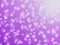 Abstract Blurred Defocus Bokeh Ultra Violet lights, colors trend 2018