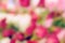 Abstract blurred flower background